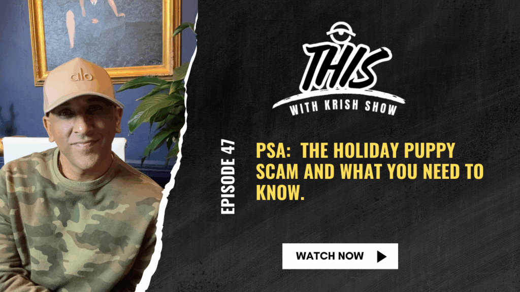 Ep 46 PSA The holiday puppy scam and what you need to know.